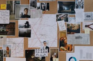 investigator network influence politics
